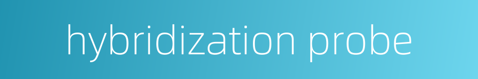 hybridization probe的同义词