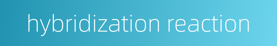hybridization reaction的同义词