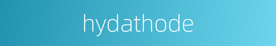 hydathode的同义词