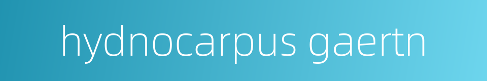 hydnocarpus gaertn的同义词