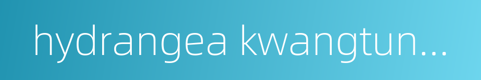 hydrangea kwangtungensis的同义词