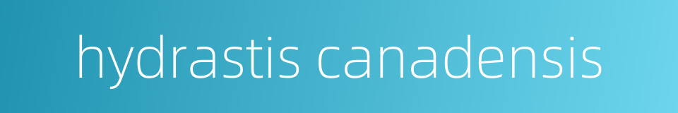 hydrastis canadensis的同义词