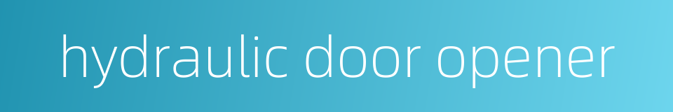 hydraulic door opener的同义词