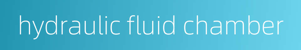 hydraulic fluid chamber的同义词