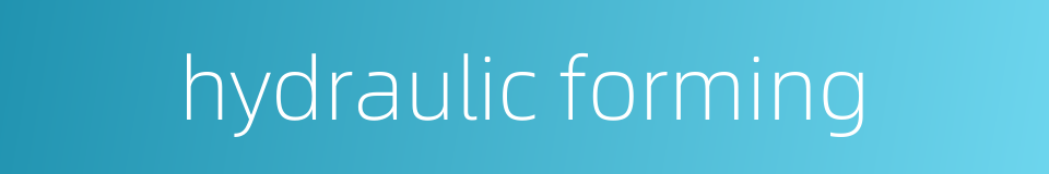 hydraulic forming的同义词