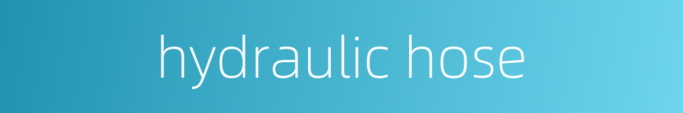 hydraulic hose的同义词