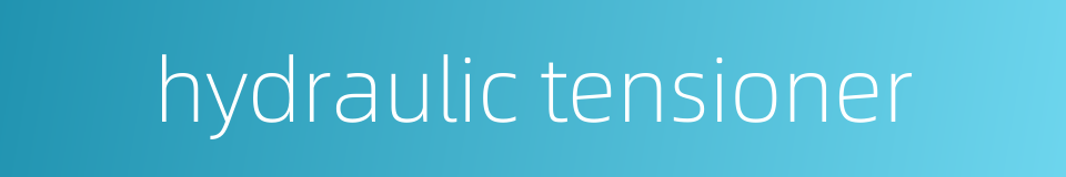 hydraulic tensioner的同义词