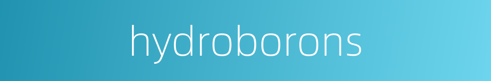 hydroborons的同义词