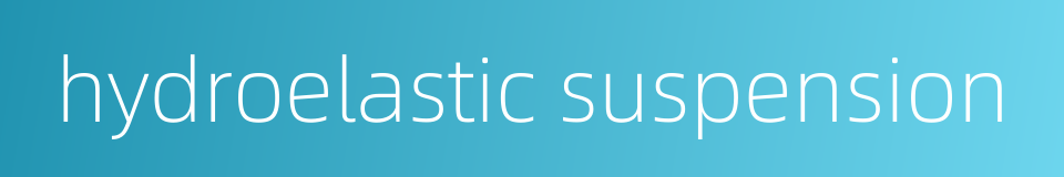 hydroelastic suspension的同义词