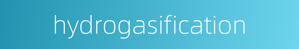 hydrogasification的同义词