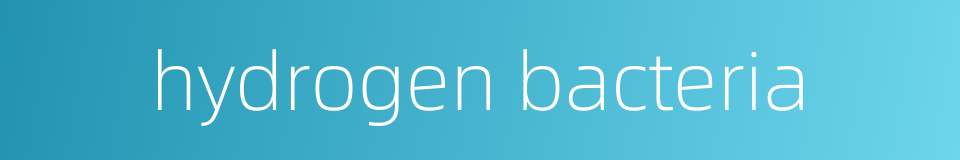 hydrogen bacteria的同义词