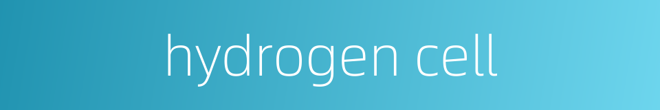 hydrogen cell的同义词