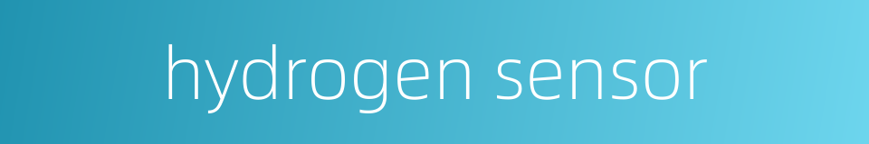 hydrogen sensor的同义词