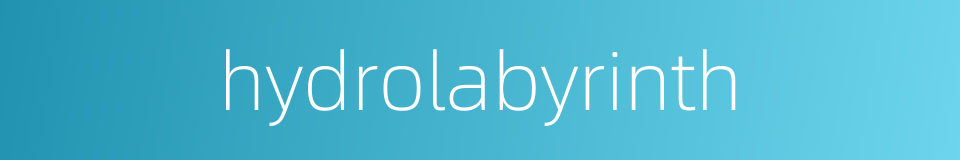 hydrolabyrinth的同义词