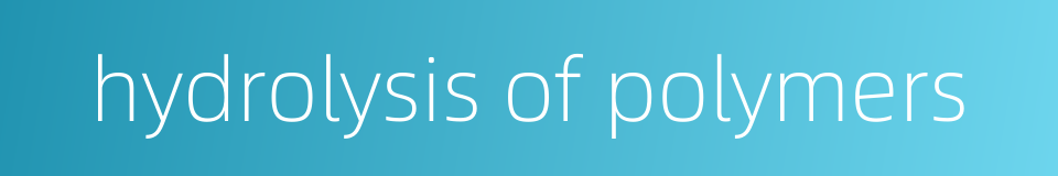 hydrolysis of polymers的同义词