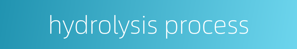 hydrolysis process的同义词