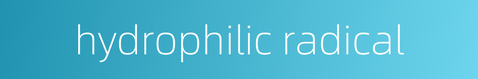 hydrophilic radical的同义词