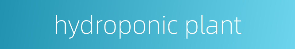 hydroponic plant的同义词