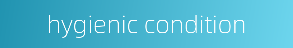 hygienic condition的同义词