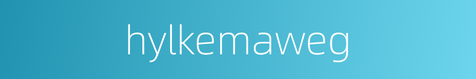 hylkemaweg的同义词