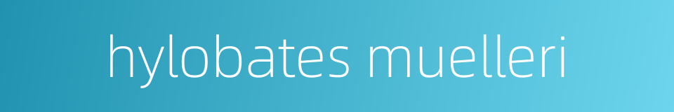 hylobates muelleri的同义词