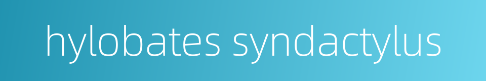 hylobates syndactylus的同义词