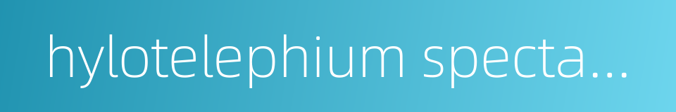 hylotelephium spectabile的同义词