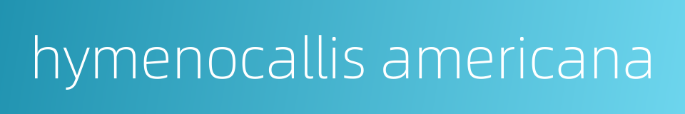 hymenocallis americana的同义词