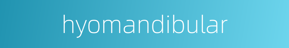 hyomandibular的同义词