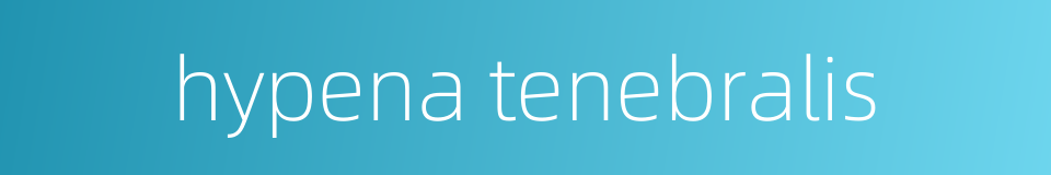 hypena tenebralis的同义词
