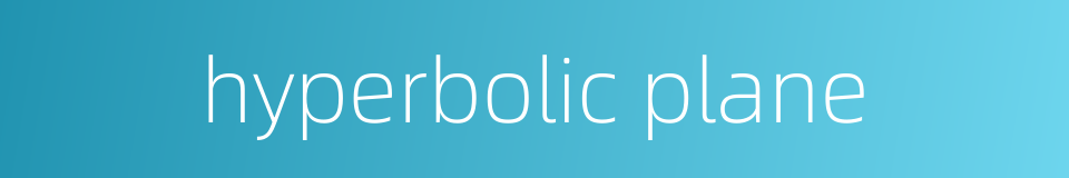 hyperbolic plane的同义词