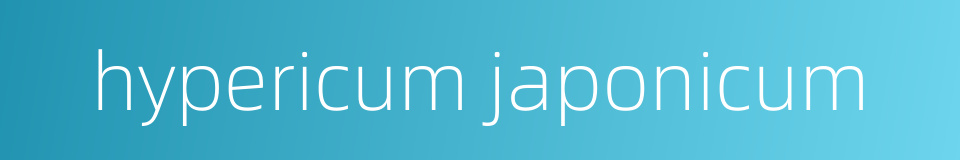 hypericum japonicum的同义词