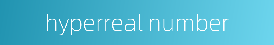 hyperreal number的同义词