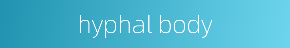 hyphal body的同义词