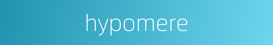 hypomere的同义词