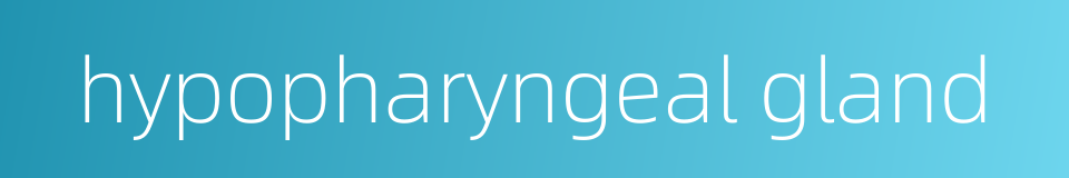 hypopharyngeal gland的同义词