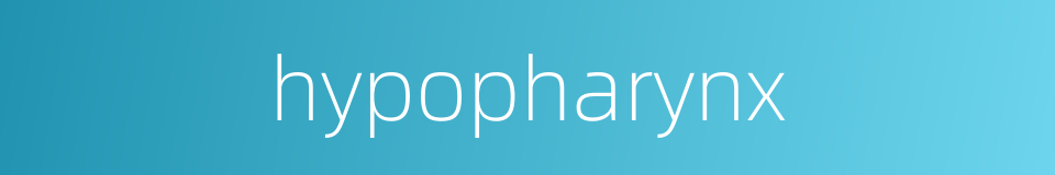 hypopharynx的同义词