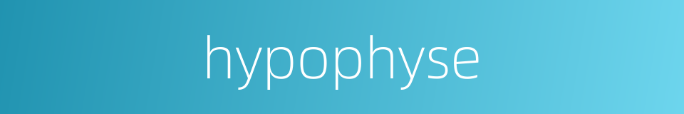 hypophyse的同义词