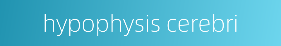 hypophysis cerebri的同义词