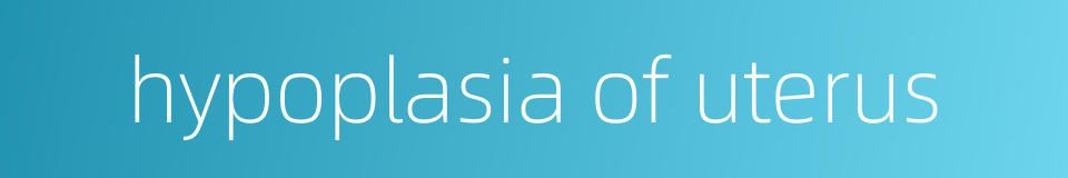 hypoplasia of uterus的同义词