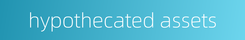 hypothecated assets的同义词