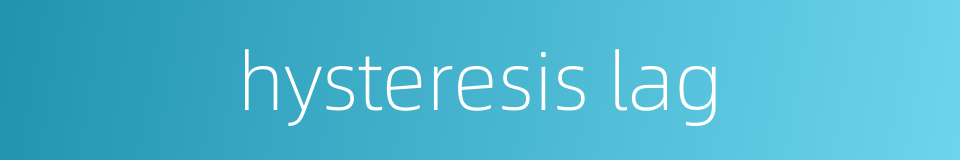 hysteresis lag的同义词