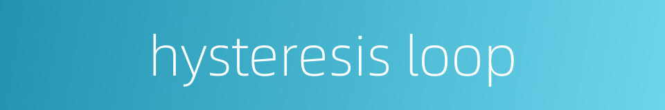 hysteresis loop的同义词