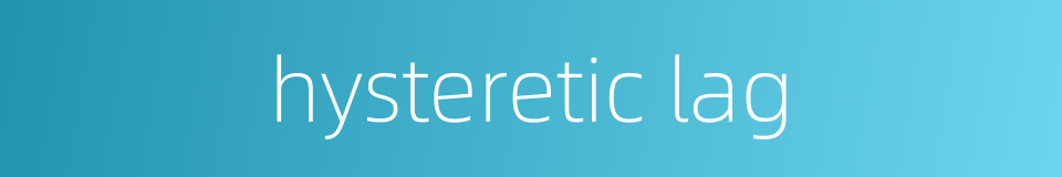 hysteretic lag的同义词