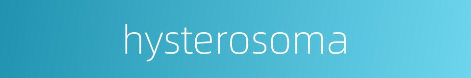 hysterosoma的同义词