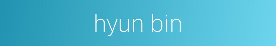 hyun bin的同义词
