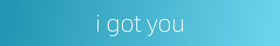 i got you的同义词
