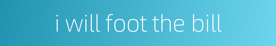 i will foot the bill的同义词