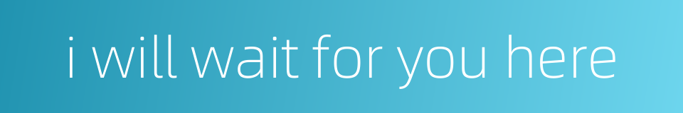 i will wait for you here的同义词