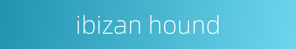 ibizan hound的同义词